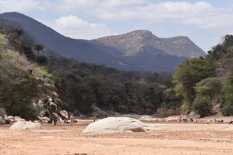 Kitich Forest Camp riverbed walks