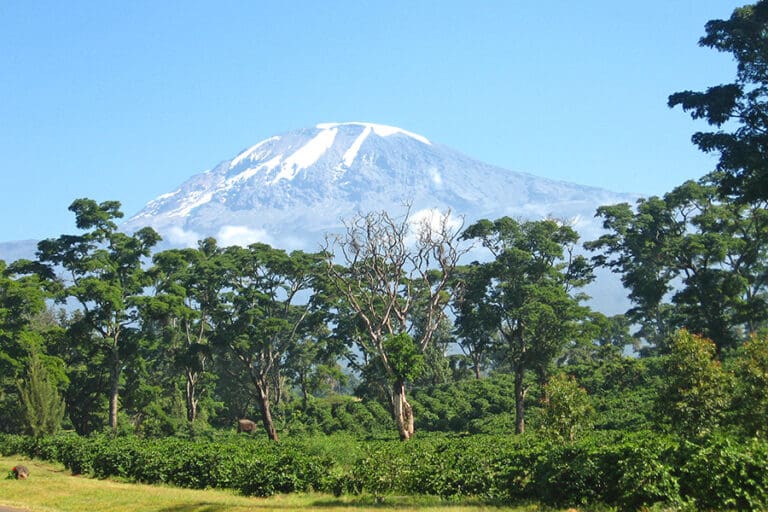 Tanzania Experience Kilimanjaro 02