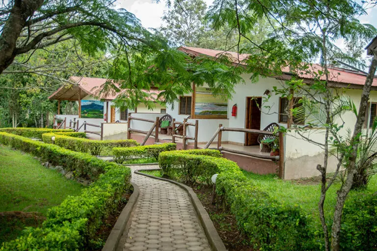 Meru View Lodge4