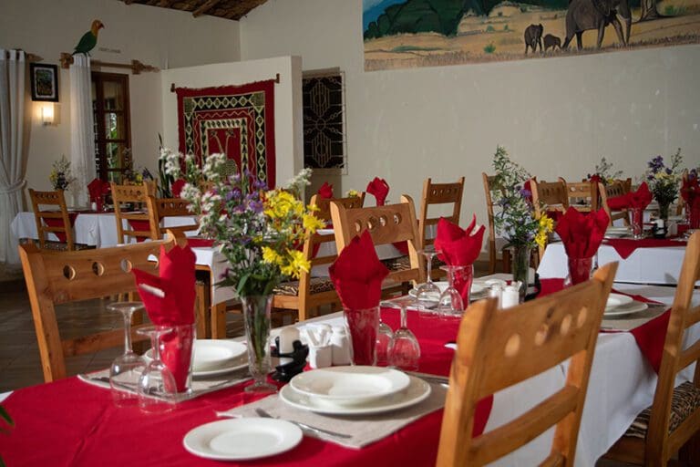 Meru View Lodge0