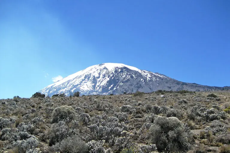 Tanzania Experience Kilimanjaro 17