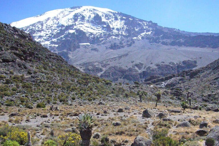 Tanzania Experience Kilimanjaro 18