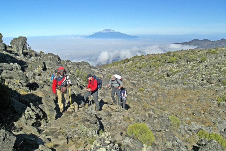 Tanzania Experience Kilimanjaro 22