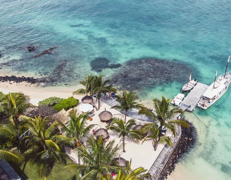 20 Degrees Sud drone plage palmiers