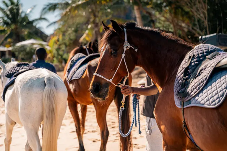 Azura Benguerra horse riding 2