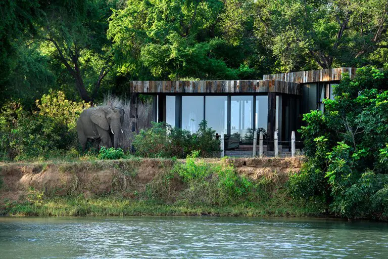 An elephant on the riverbank beside a suite at Lolebezi