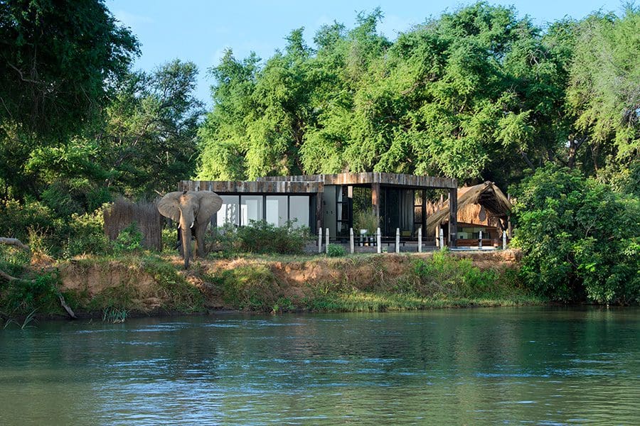 An elephant beside a suite at Lolebezi