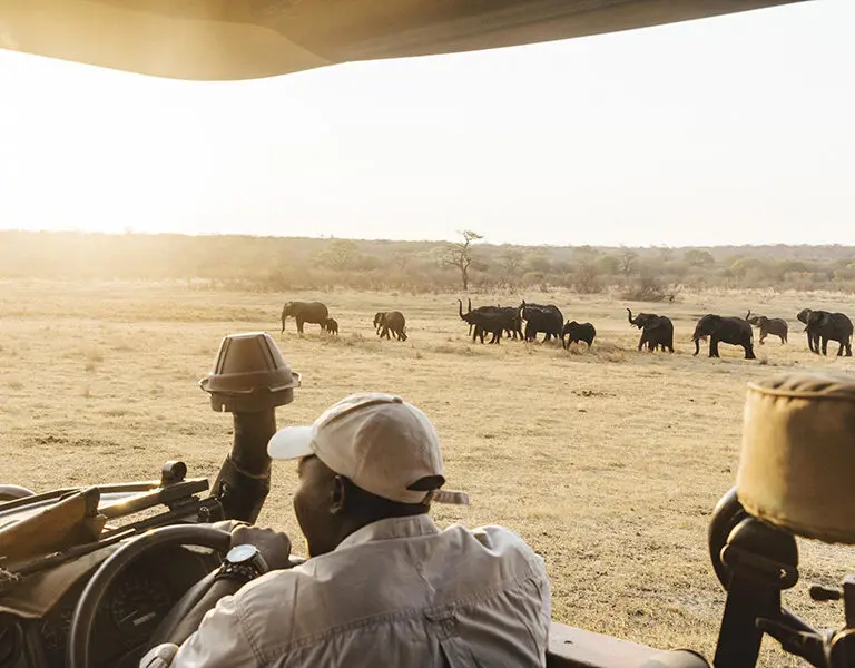 Matetsi Victoria Falls Matetsi Private Game Reserve Elephants 3