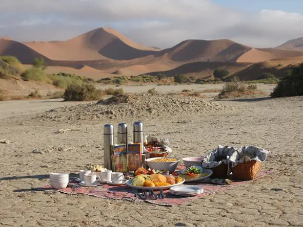 Picnic