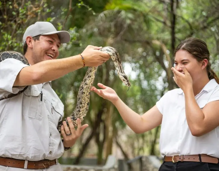 Mokuti Etosha Snake Park