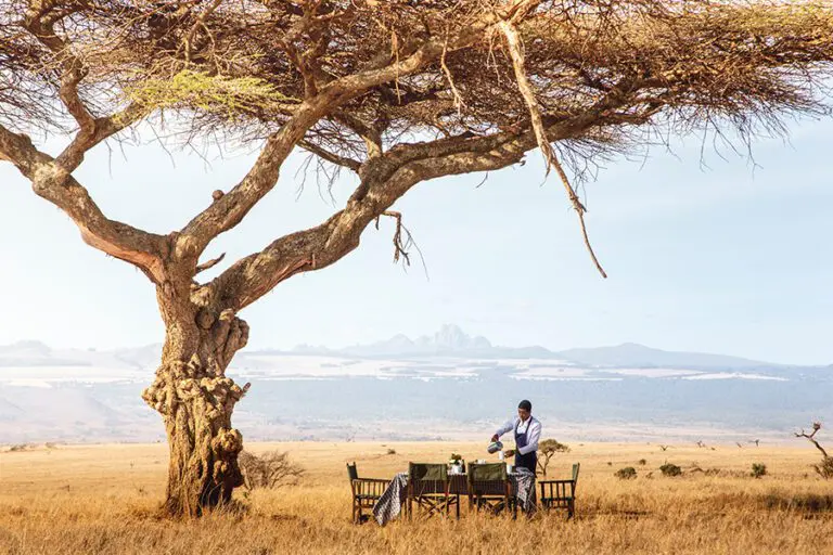 Lewa Wilderness Lodge bush breakfast