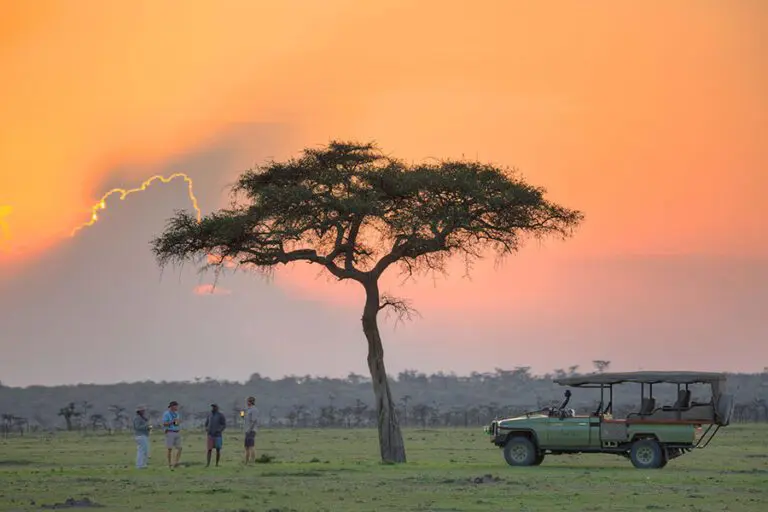 Naboisho Camp Evening game drive