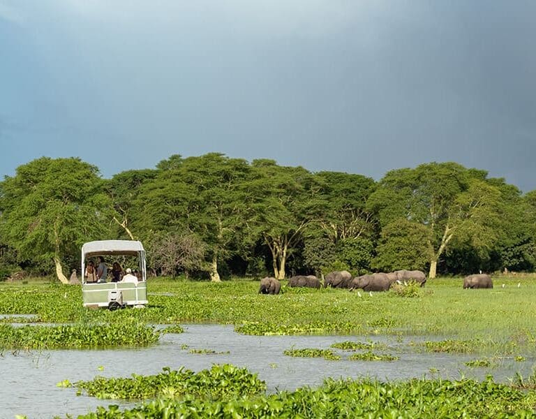 Mvuu Lodge Malawi LiwondeNP 1