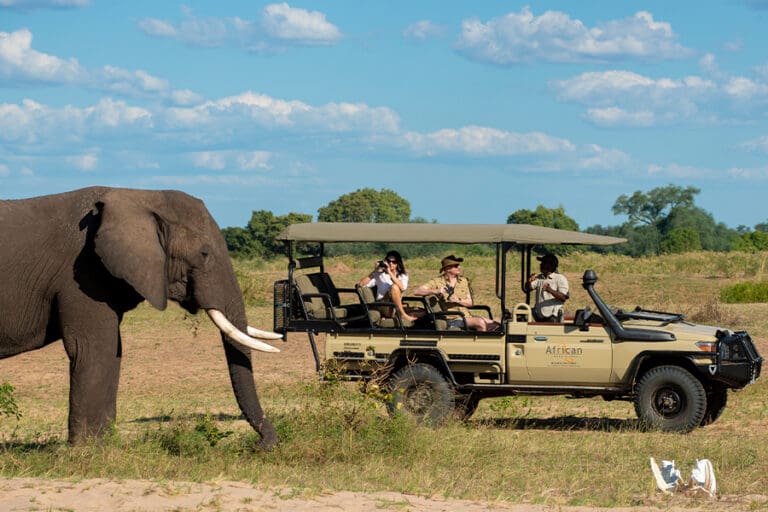 Nyamatusi Camp game drive