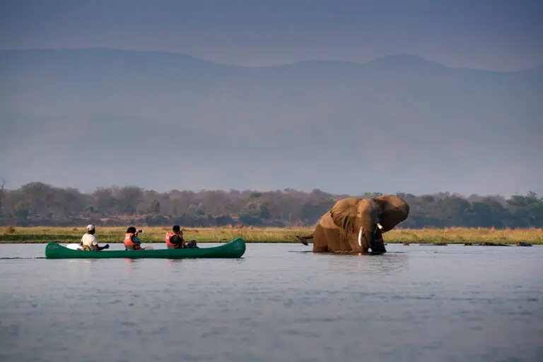 Nyamatusi Camp Canoe activity