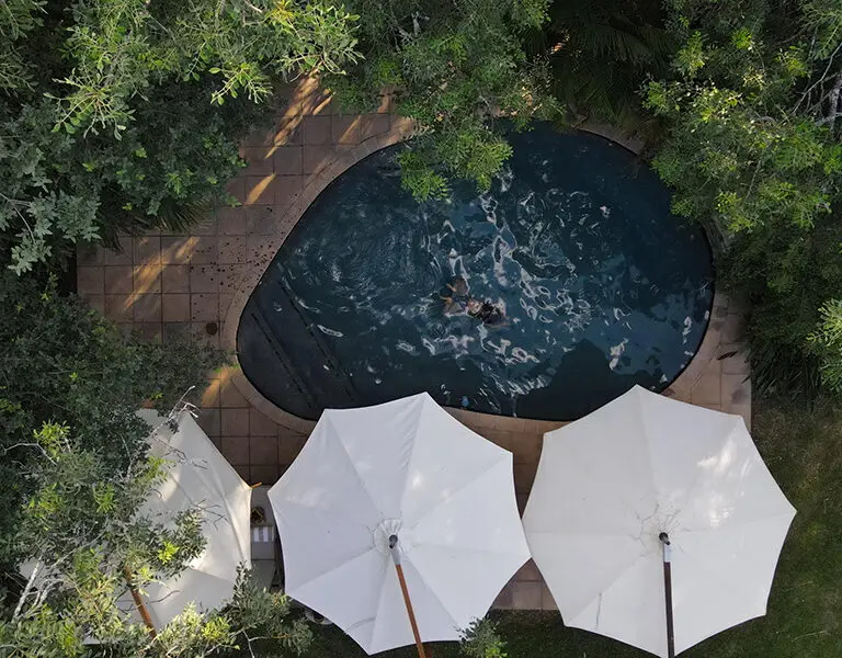 Savanna Private Game Lodge Sabi Sands Kruger Main lodge pool