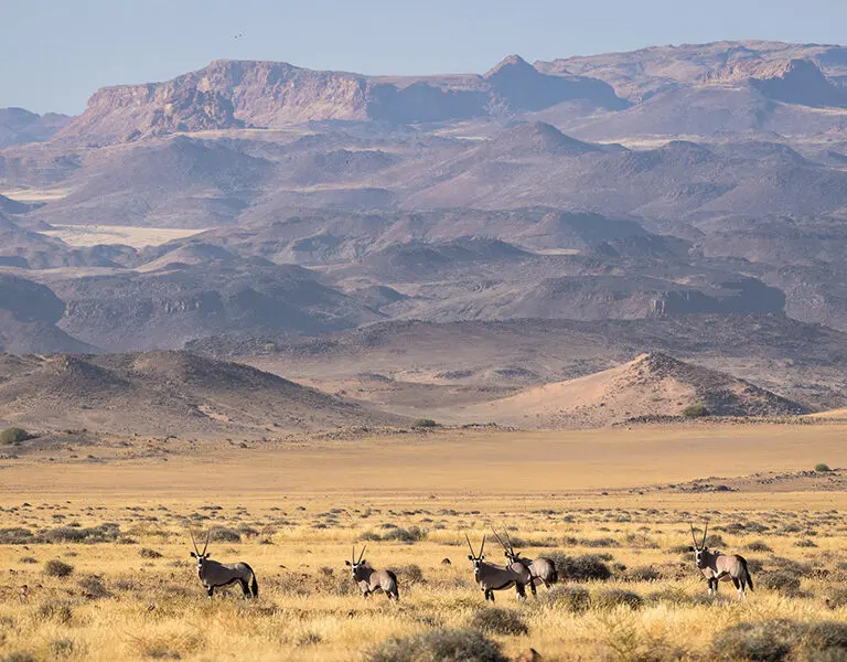 Wilderness Damaraland Camp 6