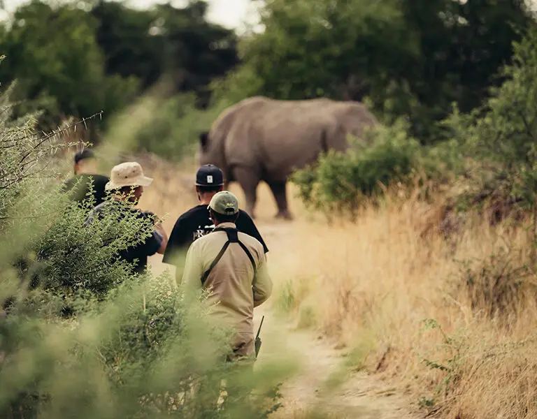 Okonjima Plains Camp Namibia rhino walk