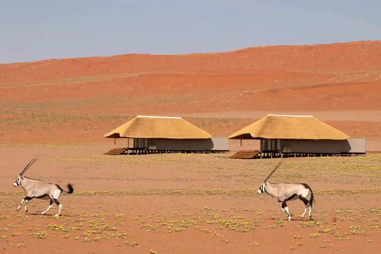 13Kwessi Dunes Bedroom exteriors and oryx