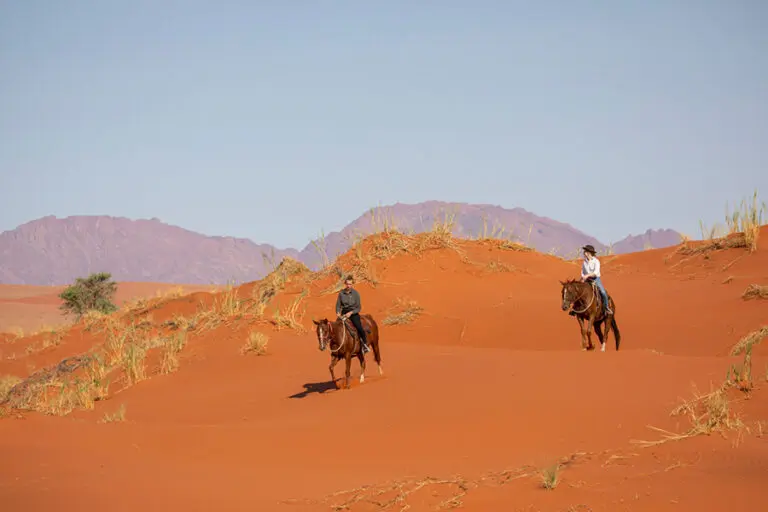 32Kwessi Dunes Horseriding in the Namibrand