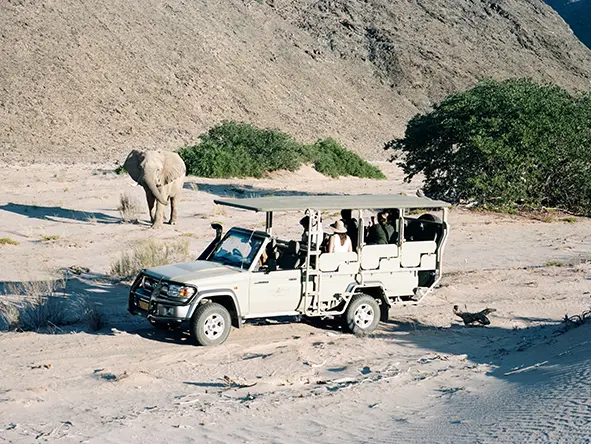 Edited 35Hoanib Valley Activities Game drive elephant1