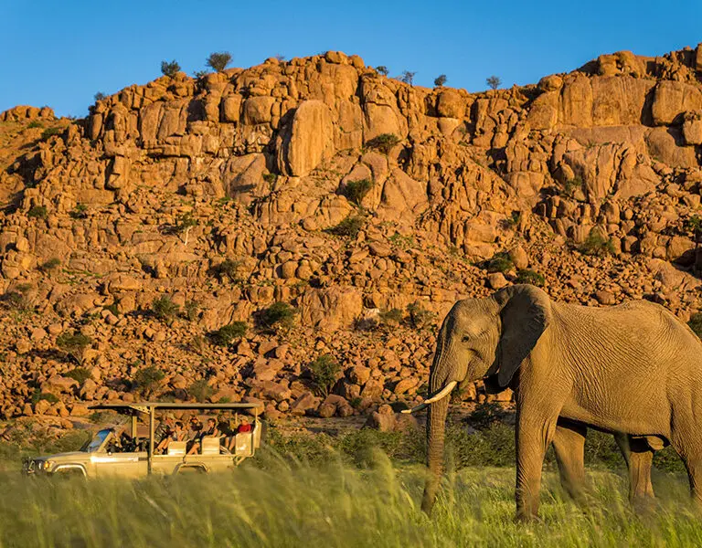 Camp Kipwe s Nature Drive in Green Season