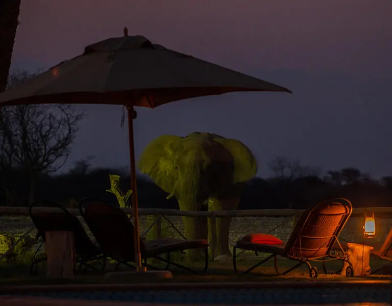 Onguma Bush Camp 3