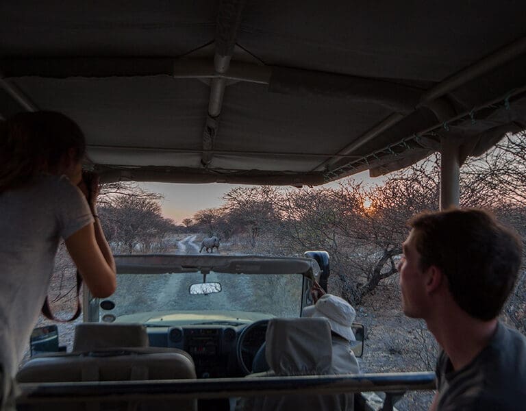 Onguma The Fort etosha game drives