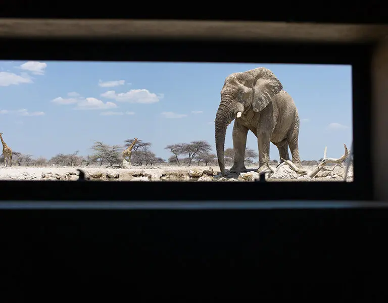 Onguma Tented Camp from inside the hide