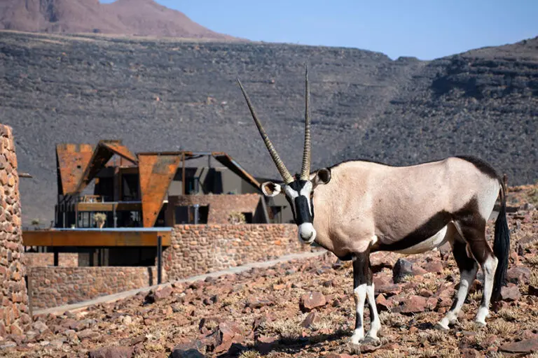 AndBeyond Sossusvlei Desert Lodge exterior with an oryx in sight