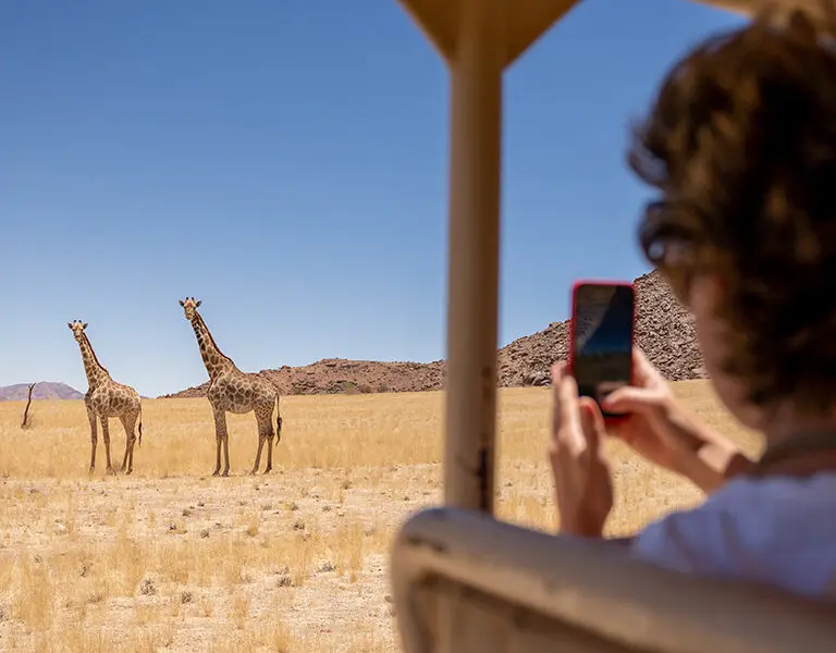 WOLWEDANS COLLECTION Wildlife Giraffe sighting from game viewer