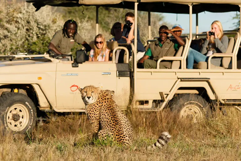 Africats care centre1 Okonjima Plains Camp 1
