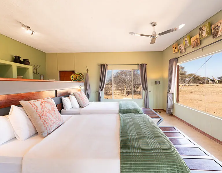 Okonjima Plains Camp Namibia view room 1