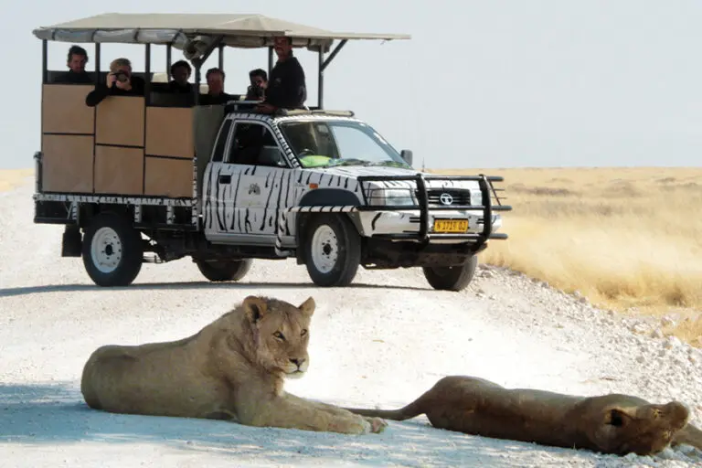 Etosha Safari Lodge game drive