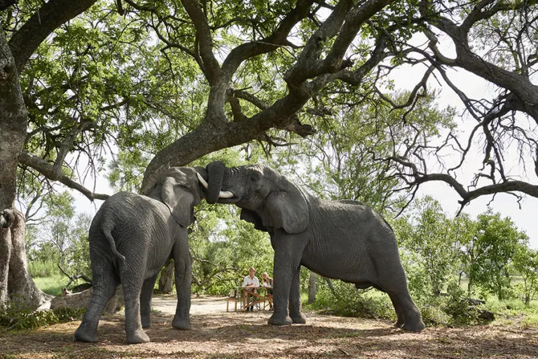 Sanctuary Baines wildlife