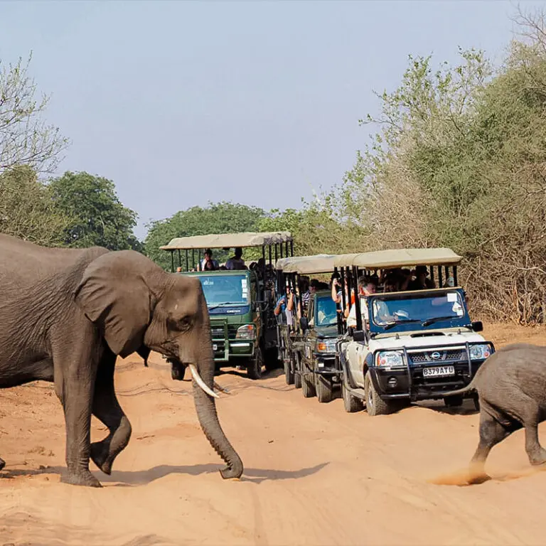 Emma Hill Botswana EKH Chobe Chilwero 28 1