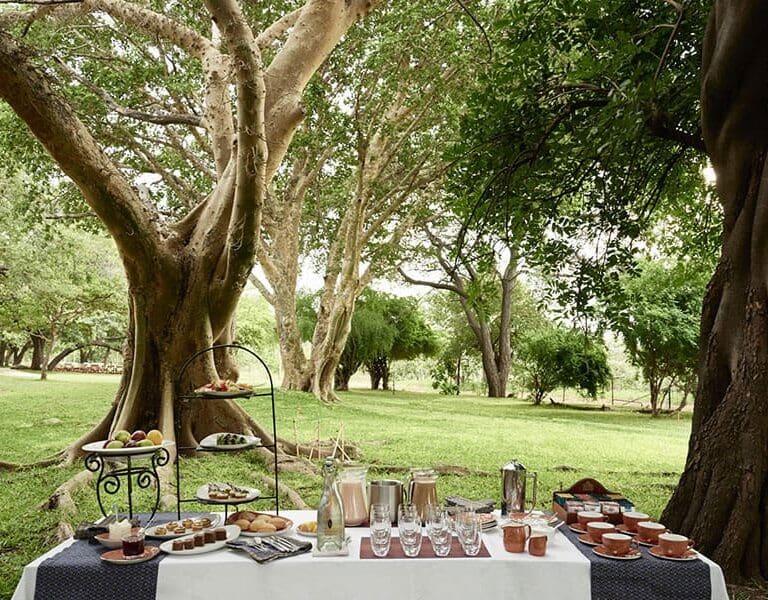Chilwero Picnic