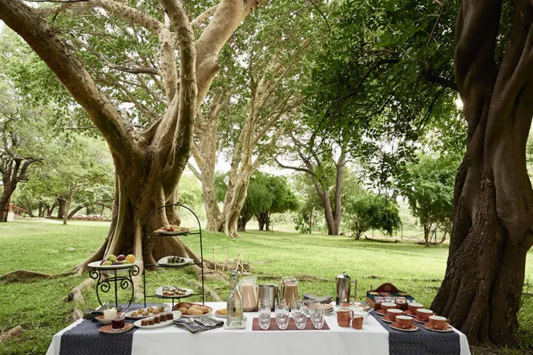SANCTUARY CHOBE CHILWEROSANCTUARY CHOBE CHILWERO 33 001