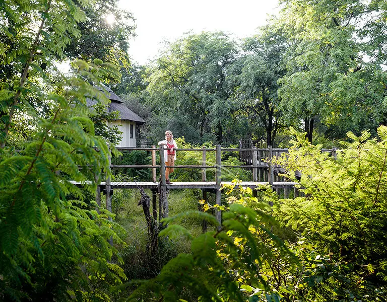 Sussi Chuma an AK Sanctuary Victoria Falls Zambia elevated walkways between rooms and camp