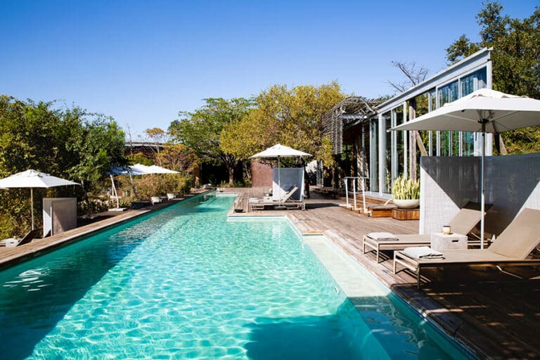 Singita lebombo lodge main lodge pool 5