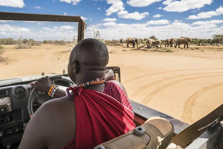 Porini Amboseli Camp Game Drive in Selenkay Conservancy