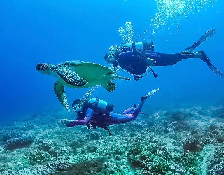 Chale Island Resort Kenya coast scuba diving