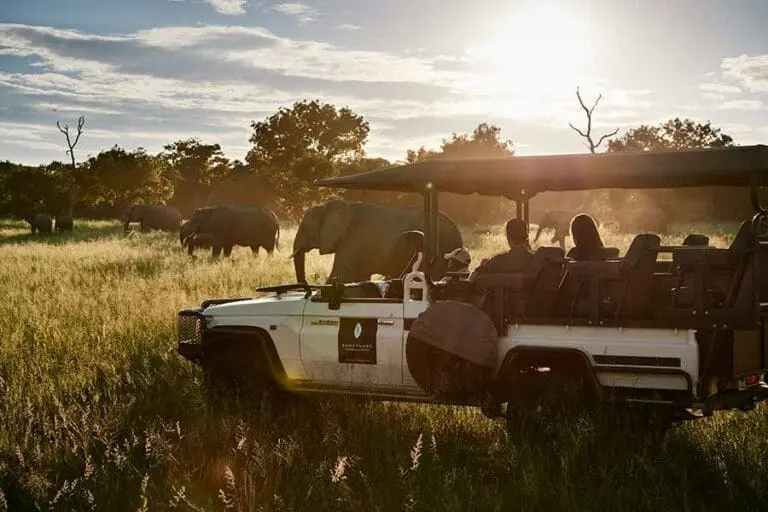 Sanctuary Chobe Chilwero Lodge traditional game drive 1