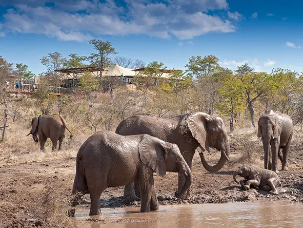 ZIMBABWES GONAREZHOU FALLS HWANGE MANA1