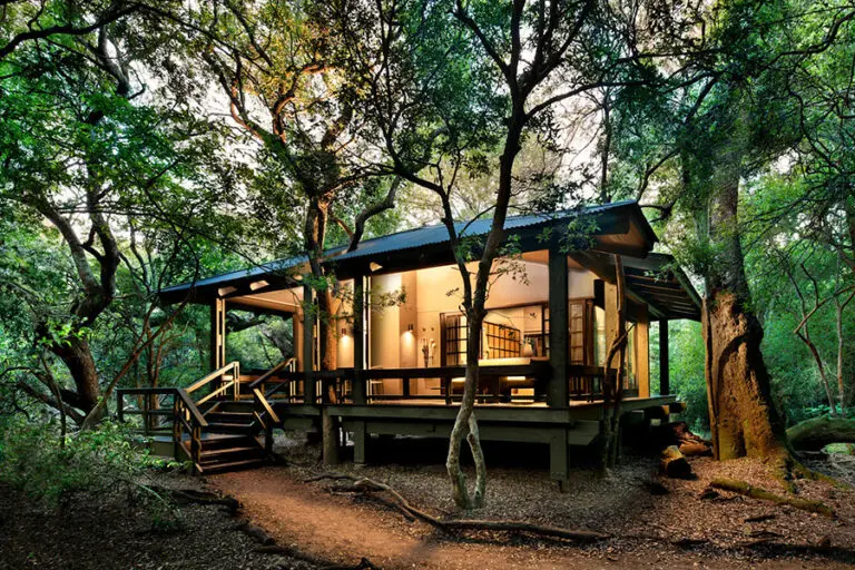 Phinda Forest Lodge room suite exterior view1