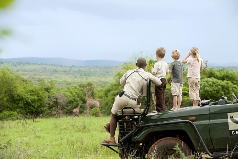 Phinda Forest Lodge kids safari 445
