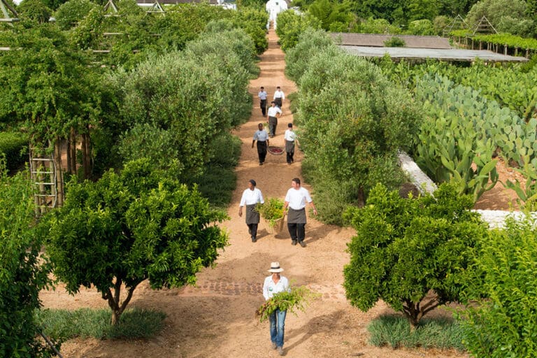 Babylonstoren Exterior Garden