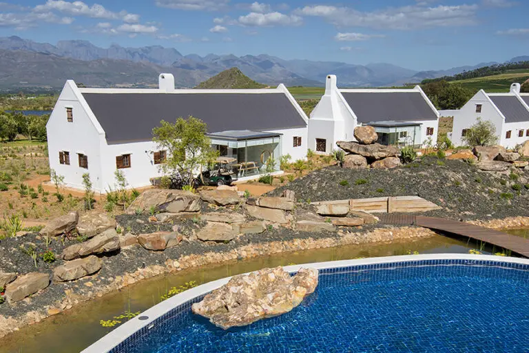 Fynbos take a plunge11