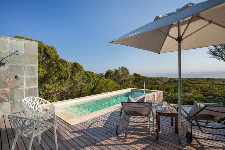 Grootbos Forest Lodge forest suite pool exterior 01