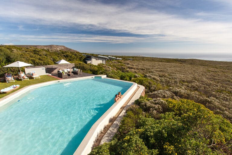 Web grootbos accommodation forest lodge pool 061